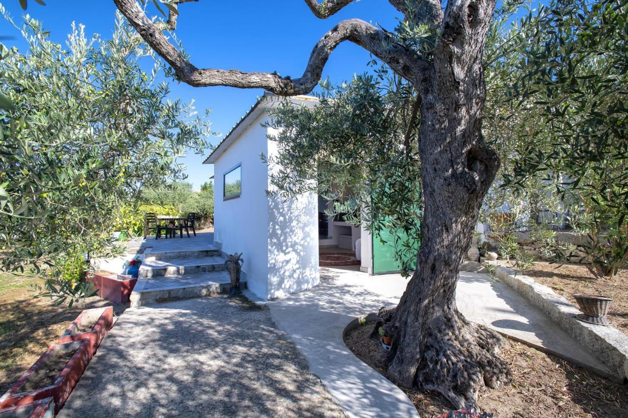 Villa Casa Rina à Sassari Extérieur photo